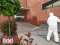 Dezynfekcja biur, magazyn�w,aut - Usuwanie wirus�w