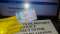 Five (5) Days UK Driver's Licence Online - Palo
